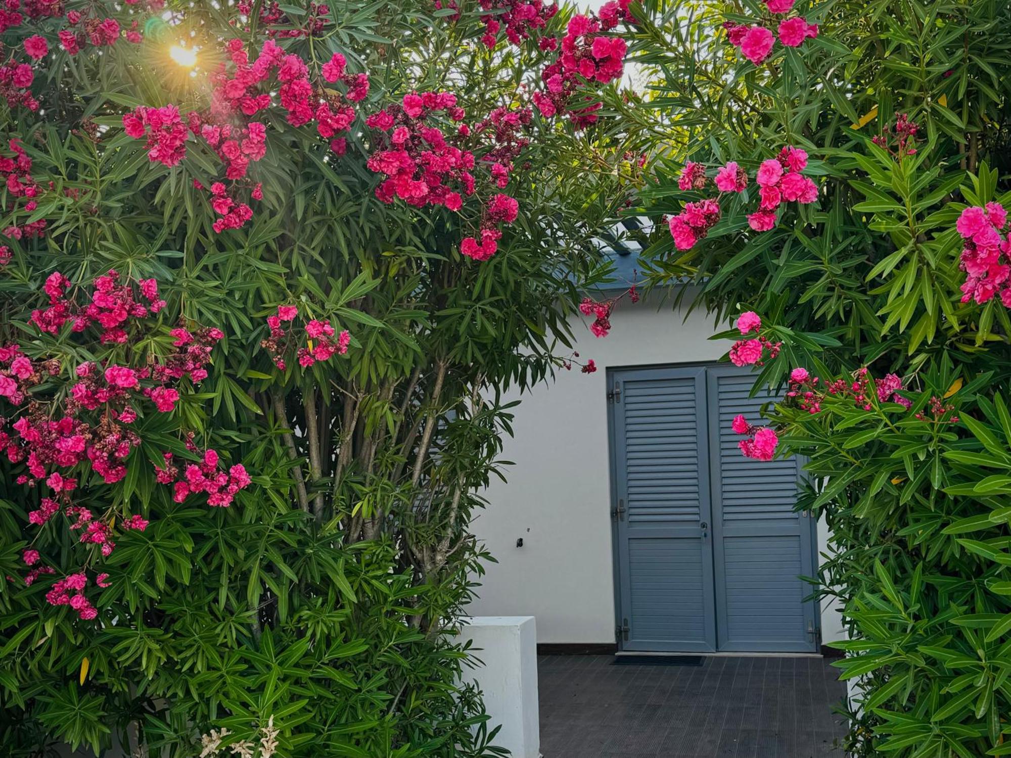 Baia Sangiorgio Hotel & Beach Club Bari Luaran gambar